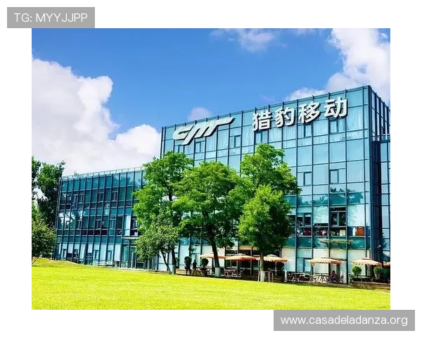 大发娱乐旗舰厅登录线路安全稳定保障用户体验的最佳解决方案