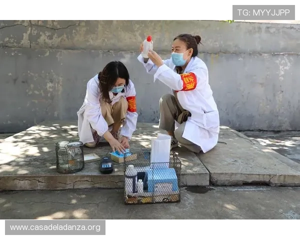 大发娱乐真人游戏安全保障措施：保障玩家资金与个人信息安全的关键措施